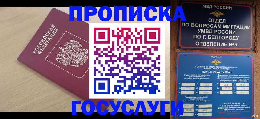 прописка законно в Камне-на-Оби